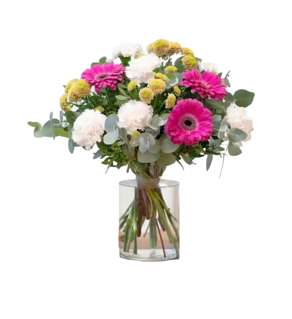 Ramo de gerberas fucsia y claveles blancos